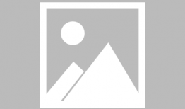 金吾卫最新爆料,最新爆料背后的真相与内幕