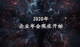 爆料仙鹤特效视频大全集,绚丽视觉盛宴，揭秘仙鹤之美
