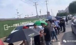 山东临沂爆料最新,最新爆料揭示惊人真相